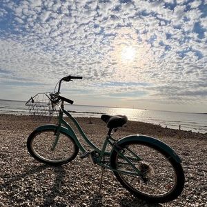 Meet your Posher, Mona